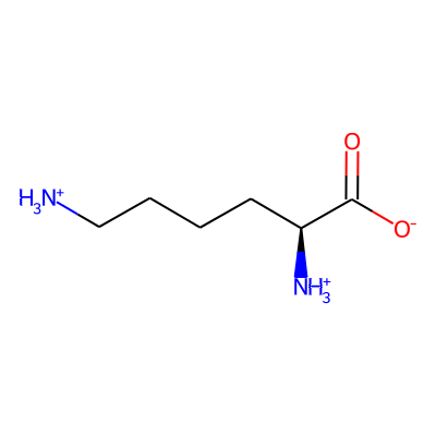 LYSINE