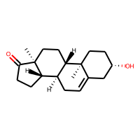 PRASTERONE