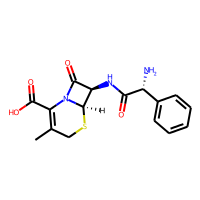 CEPHALEXIN