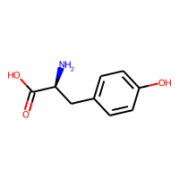 TYROSINE