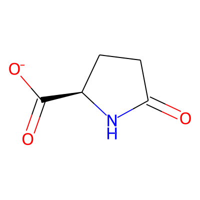 SODIUM PYRROLIDONE CARBOXYLATE